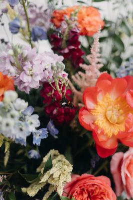 SAMSIKESPHOTO-Up-Close-of-Flowers